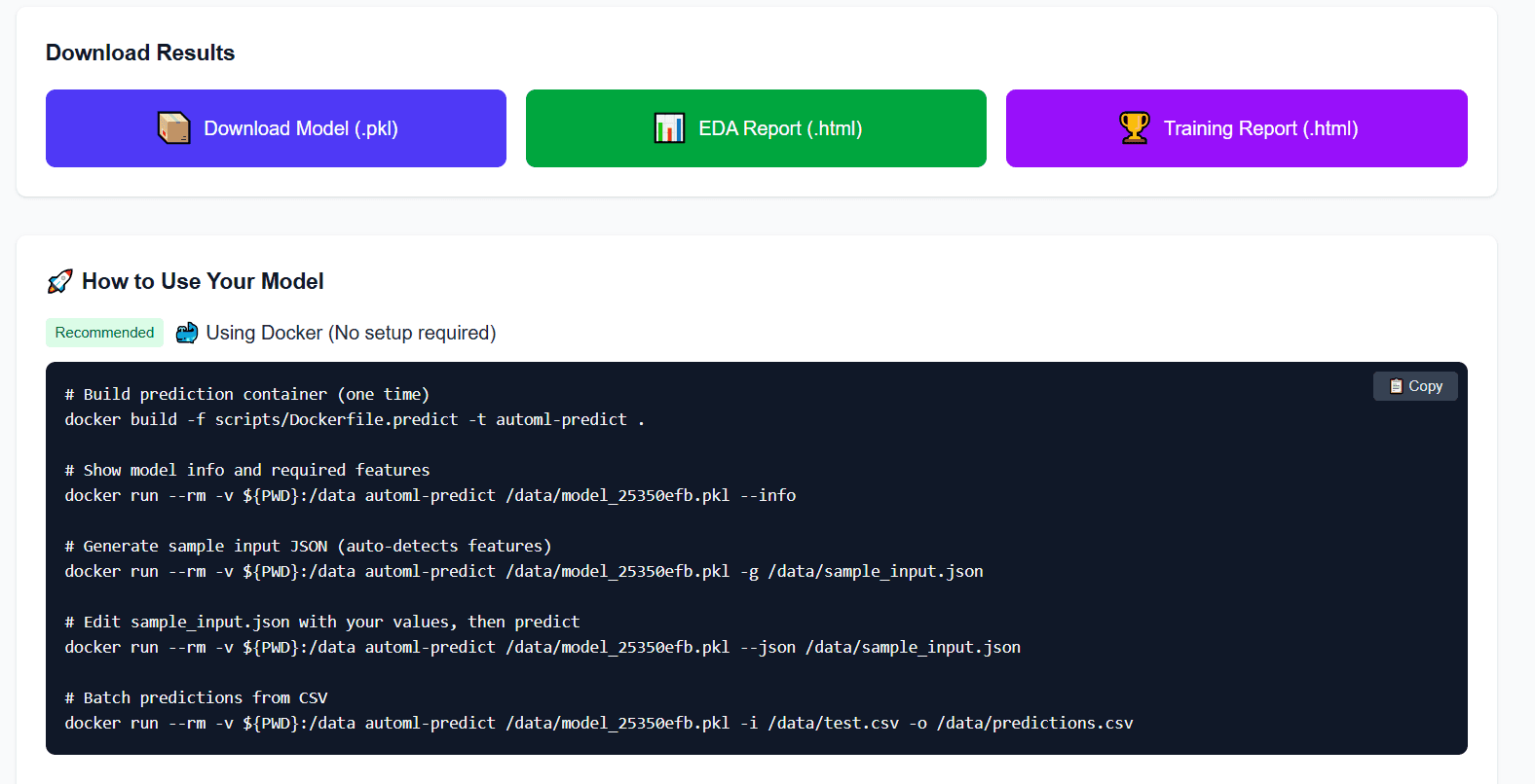 Results page showing download buttons for model, EDA report, training report, and Docker usage instructions